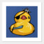 Mrs.Pirate.Duck.Hooker