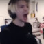 xqc enjoyer