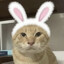doro3's avatar