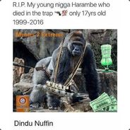 Harambe Did Nothing Wrong