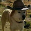 Cowboy 🤠 Horseshit 💩