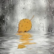 我永远喜欢空弦！