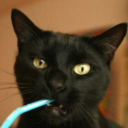 Sweeper
