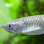 李杰生我邀請你了