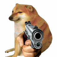 一个只会匪的小学生