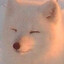 Avatar of MT Foxtrot