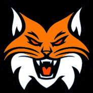 Le Vieux Lynx - steam id 76561197960518503