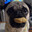 Zhulo