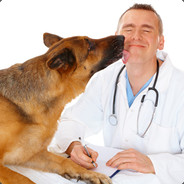 Dogtor