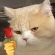 丹参老师不玩游戏