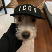 别在我眼前晃悠