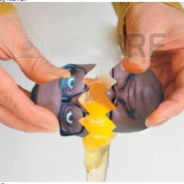 Bel Biv Divorced Dad