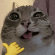swat0k avatar