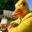 duck men