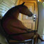 lazy horse