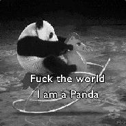 Panda ;^ V-VII