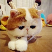 这个qz不会打狙