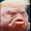 BaBaBoi
