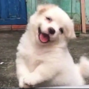 听DJ不听脚步的休闲玩家