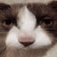 glubbler