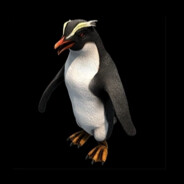 [TOXI] Don Pingüino AOE