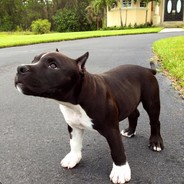 Autistic Dumpster Baby