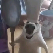 墨香不退与你同留余味