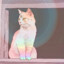 七彩的猫