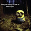 Fillet Minion