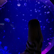 𝒩𝒶𝓉𝒶𝓁𝓀𝒶