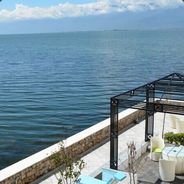 丰哥是最好的安排