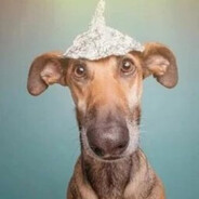 король нигерий228