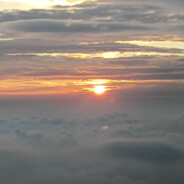 柠檬精在线卑微