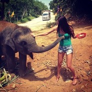 Ray - steam id 76561197964481329
