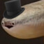 TimeLord218