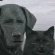 444
