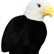 OrzełpelikanCASE.GIFT