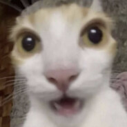 Vix's Avatar