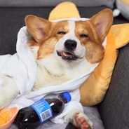 唐僧洗发用飘柔