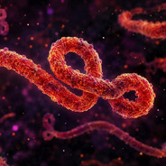 EBOLA