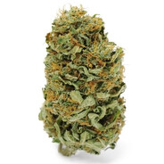 HaZe avatar