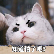 兔子堡堡巴士-50