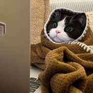 爱做梦的流沙包