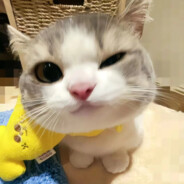 背着书包闯天下