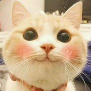 医生说我胃不好