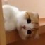我有一块二