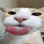 Ahz