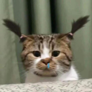 南无观世音Impreza