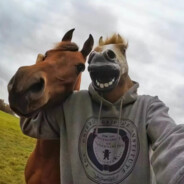 baobao50+-船工开固定