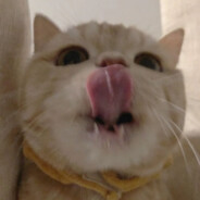 羊村第一突击手慢羊羊